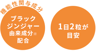 全粒粉・酵素熟成ハトムギ配合の素朴なクッキー