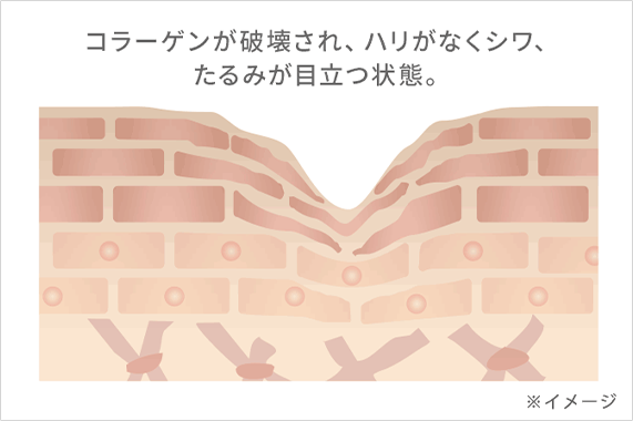 美容液100mLサイズ限定発売！