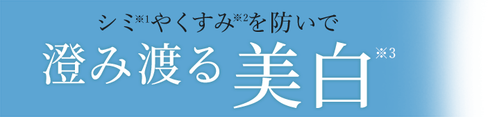 美容液100mLサイズ限定発売！