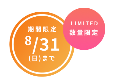 数量限定