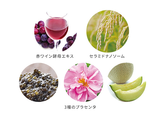 ナイトリカバージェリー
