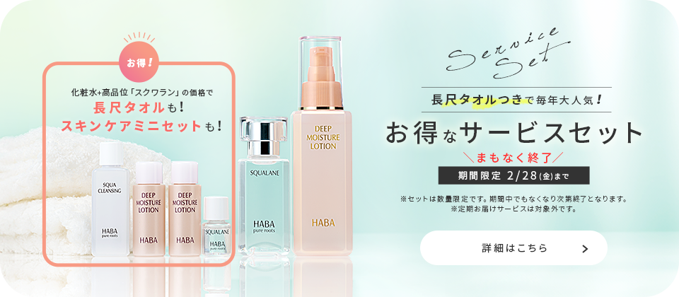 クレンジングサービスセット