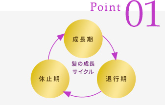 始めましょう、大人のヘアケア習慣