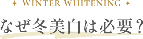 なぜ冬美白は必要？