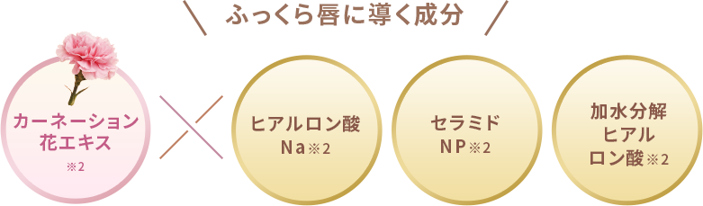 ふっくら唇に導く成分