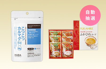 こつこつカルマグ