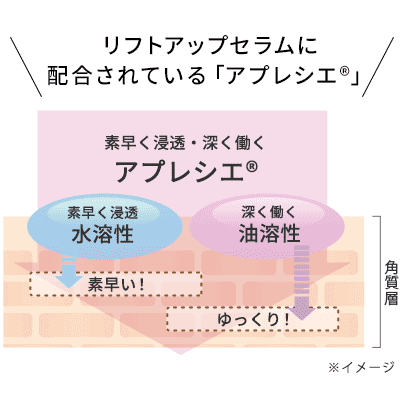 高浸透性ビタミンC （製品の抗酸化剤）“アプレシエ”とは