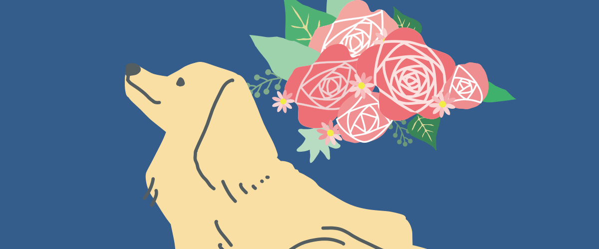 美はあちこちに宿る