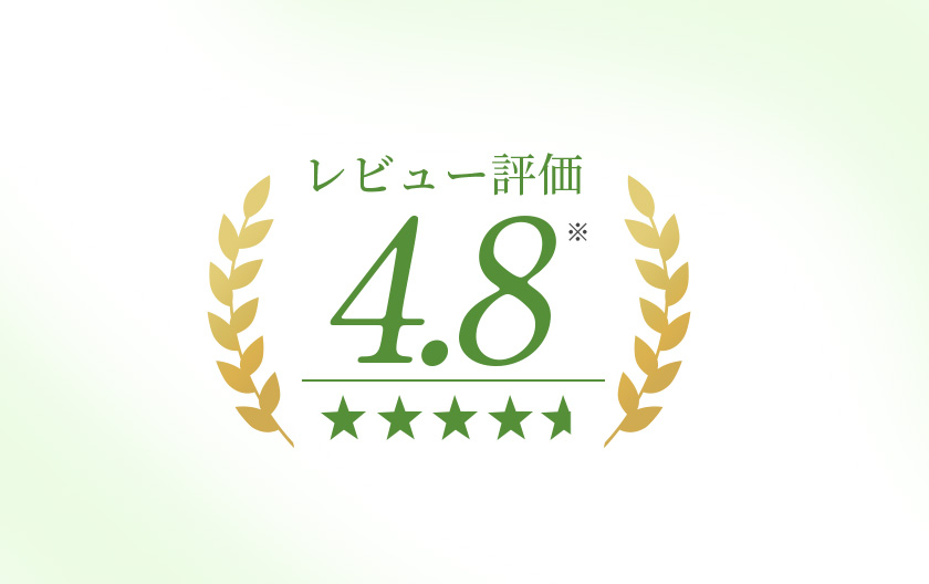 レビュー高評価！人気のヘアオイル
