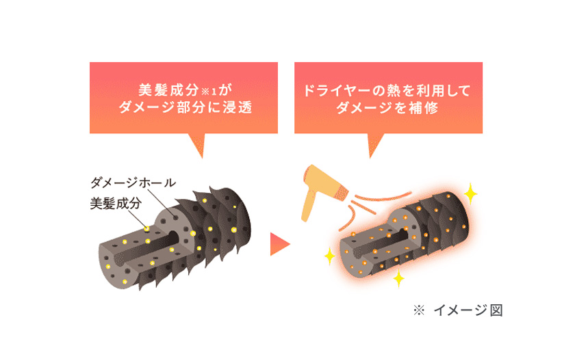 ドライヤーの熱を利用してダメージを補修