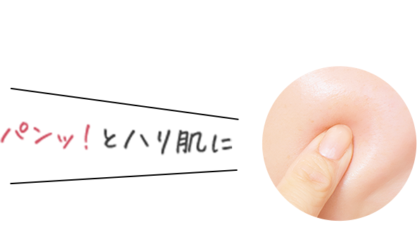 2025年 福袋