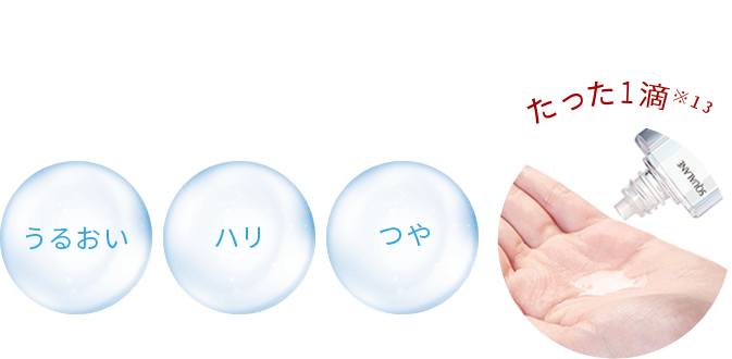 2025年 福袋