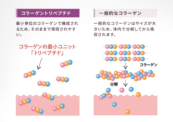 みちぷるシリーズ新発売