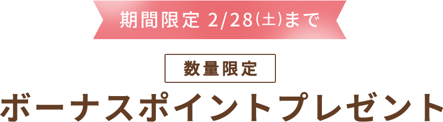 期間限定 2/28(土)まで ボーナスポイントプレゼント