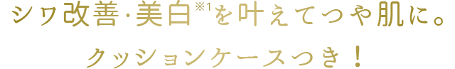 シワ改善・美白　を叶えてつや肌に。クッションケースつき！