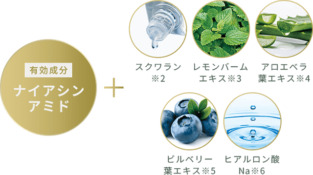 有効成分 ナイアシンアミド スクワラン※2 レモンバームエキス※3 アロエベラ葉エキス※4 ビルベリー葉エキス※5 ヒアルロン酸Na※6