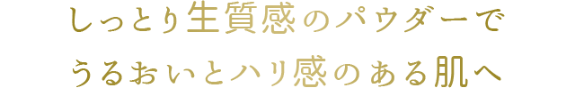 しっとり生質感のパウダーでうるおいとハリ感のある肌ヘ