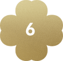 6
