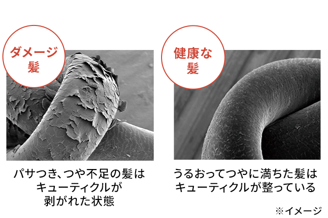 コシのない髪の原因の１つは加齢によるケラチンの減少！？