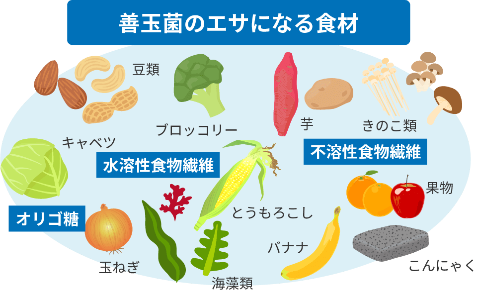 公式の H Bライフサイエンス<br> 食物繊維を配合した乳果オリゴ糖配合飲料 <br>オリゴワン オレンジ キャロット 飲料タイプ 125ml×48本<br><br>  発送までに7〜10日かかります ご注文後のキャンセルは出来ません