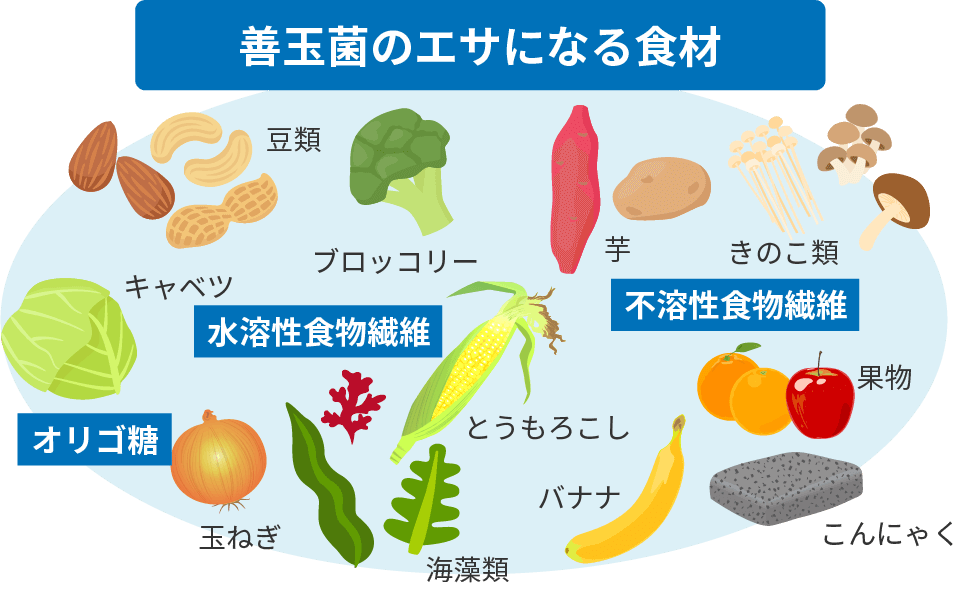 善玉菌のエサになる食材