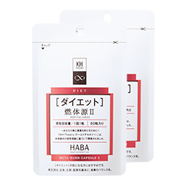 【特価】燃体源II