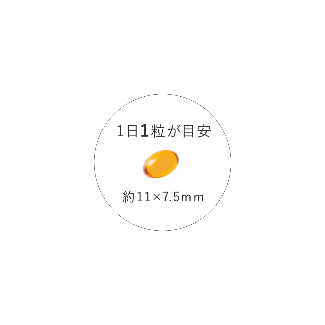 商品画像4