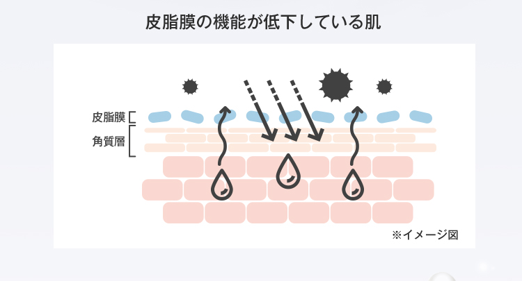 皮脂膜の機能が低下している肌