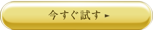 今すぐ試す
