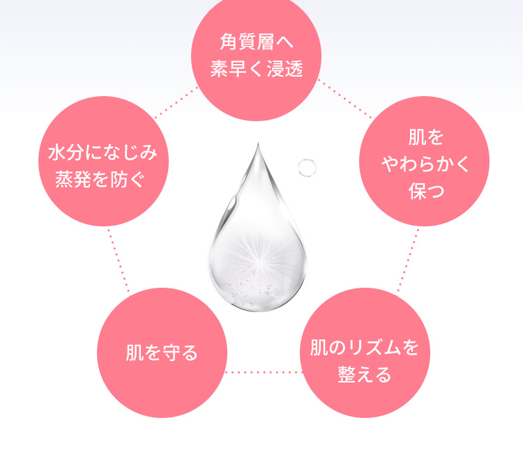 角質層へ素早く浸透 肌をやわらかく保つ 肌のリズムを整える 肌を守る  水分になじみ蒸発を防ぐ