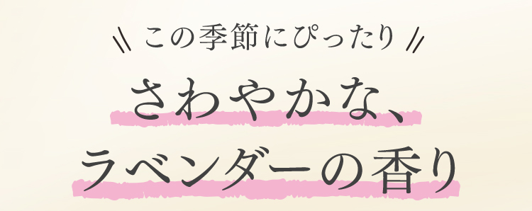 この季節にぴったり さわやかな、ラベンダーの香り