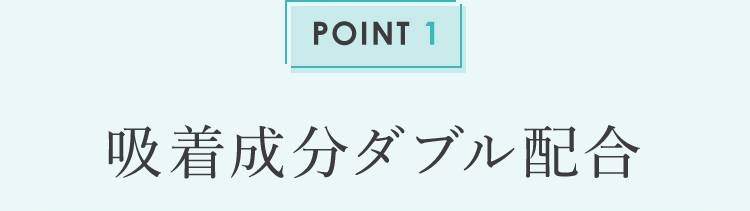POINT1 吸着成分ダブル配合