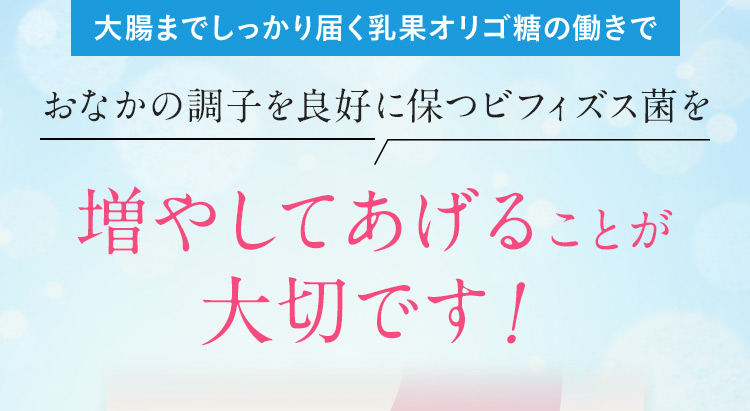 大腸までしっかり届く乳果オリゴ糖の働きでおなかの調子を良好に保つビフィズス菌を増やしてあげることが大切です！