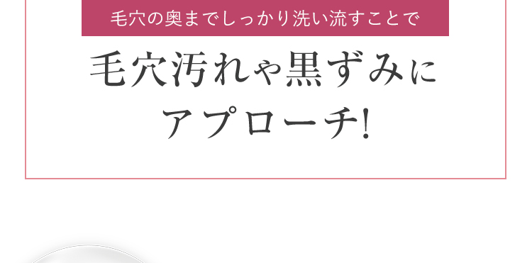 毛穴の奥までしっかり洗い流すことで毛穴汚れや黒ずみにアプローチ!