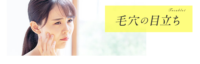 Troubles 毛穴の目立ち