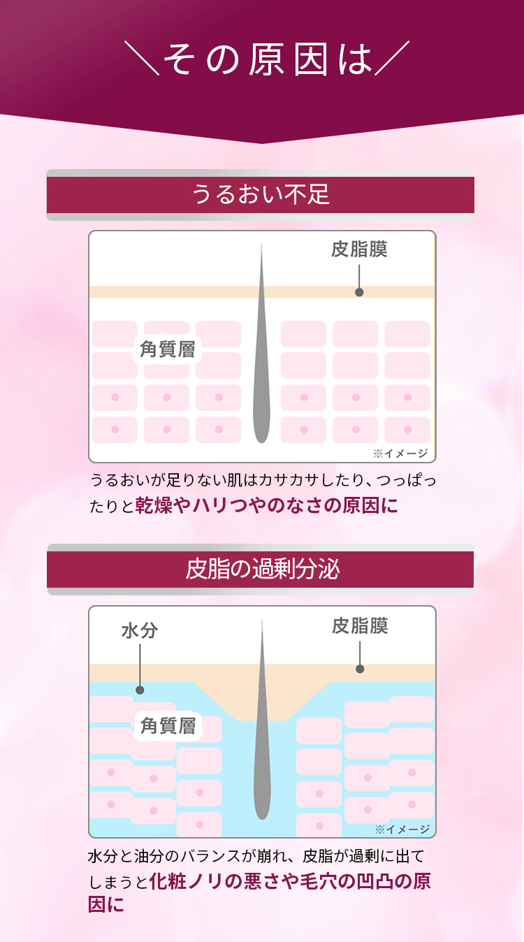 無添加主義 ハーバーの公式オンラインショップ HABA | ローズ