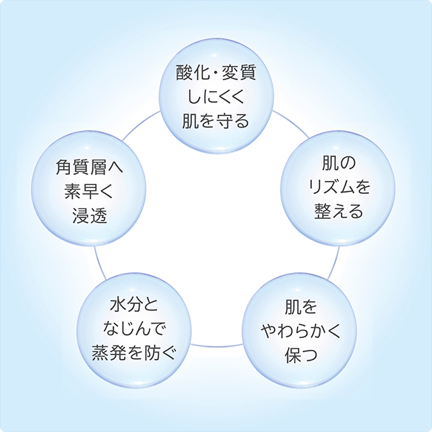 酸化・変質しにくく肌を守る｜肌のリズムを整える｜肌をやわらかく保つ｜水分となじんで蒸発を防ぐ｜角質層へ素早く浸透