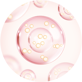 カプセル型セラミド※3