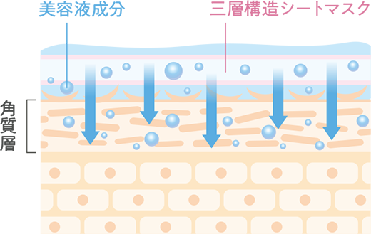 美容液成分 三層構造シートマスク 角質層