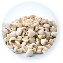 発酵ハトムギエキス※9